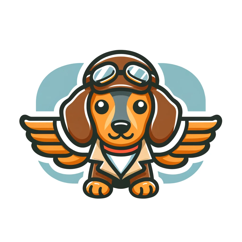 DoxiFly Logo